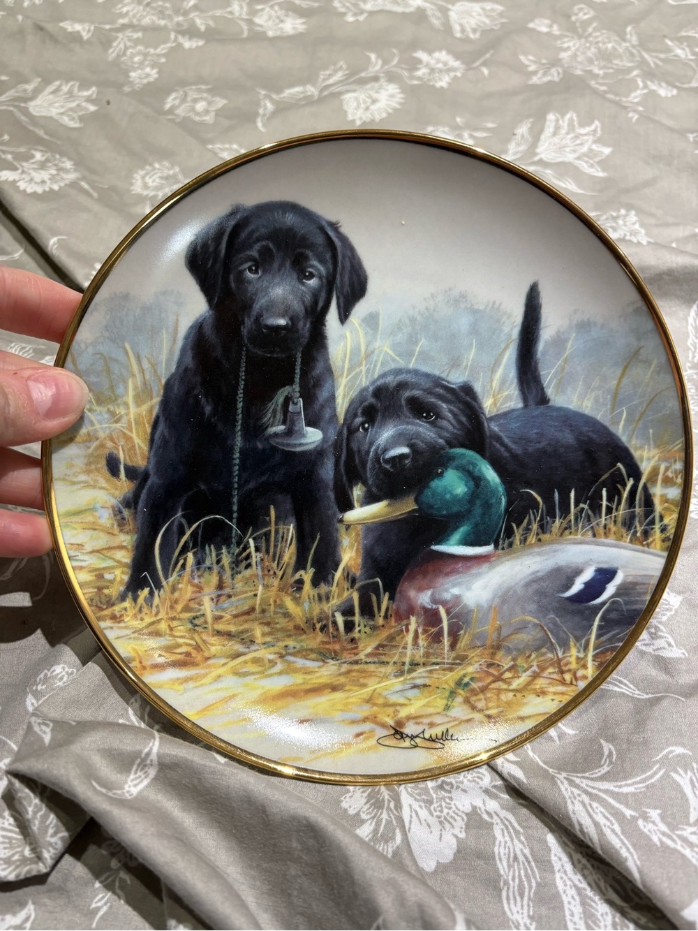 Franklin Mint Beginner’s Luck Black Lab collectible plate